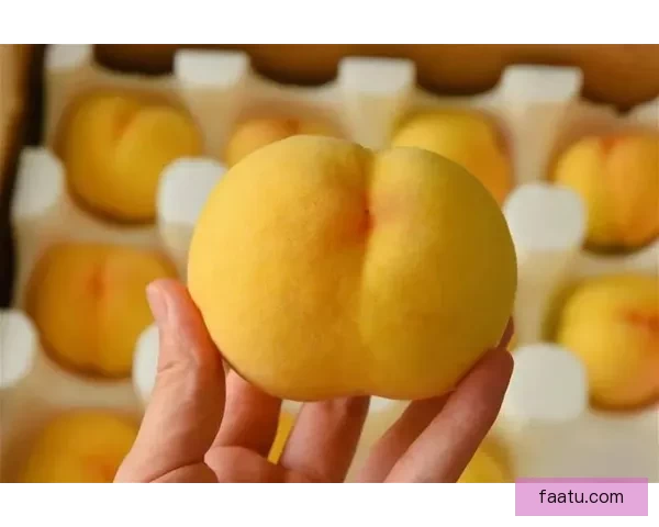 9612黄桃网址带你踏入热度新世界这里潮流与温暖故事久久回荡心跳节